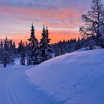 Cozy Apartment, Ski-in Ski-out At Квитфьель
