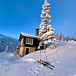 Cozy Apartment, Ski-in Ski-out At Апартаменты Квитфьель