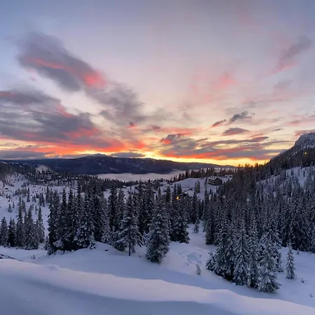 Cozy Apartment, Ski-in Ski-out At
