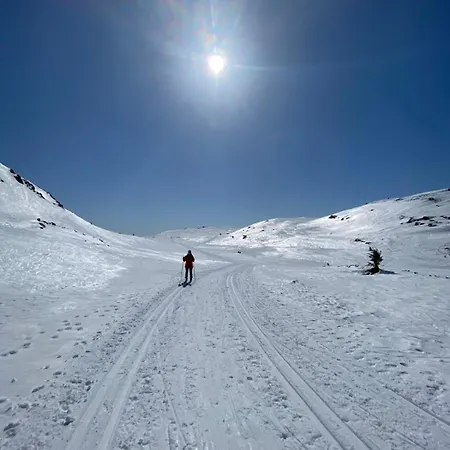 Cozy Apartment, Ski-in Ski-out At Appartement *