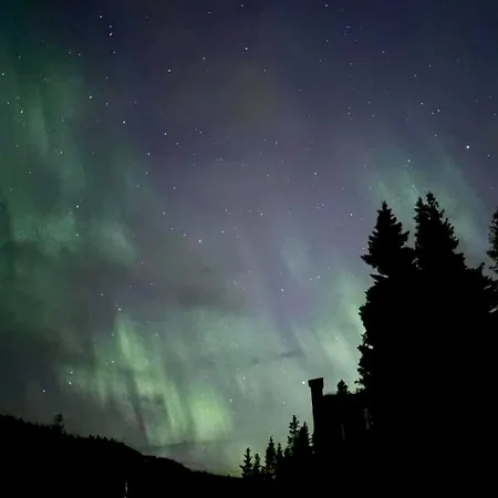 Cozy Apartment, Ski-in Ski-out At Appartement Kvitfjell