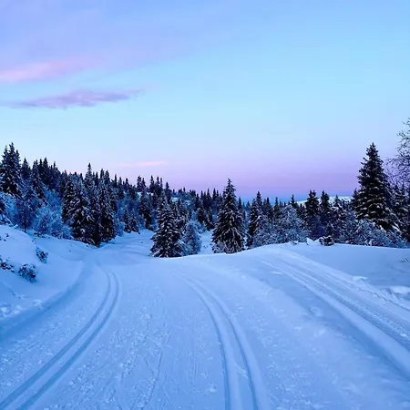 Appartement Cozy Apartment, Ski-in Ski-out At *