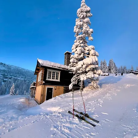 Cozy Apartment, Ski-in Ski-out At Appartement Kvitfjell