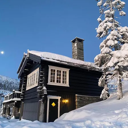 Cozy Apartment, Ski-in Ski-out At