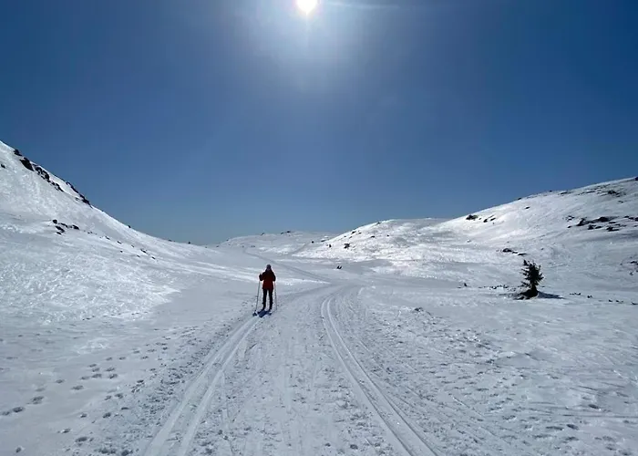 Cozy Apartment, Ski-in Ski-out At Lägenhet *