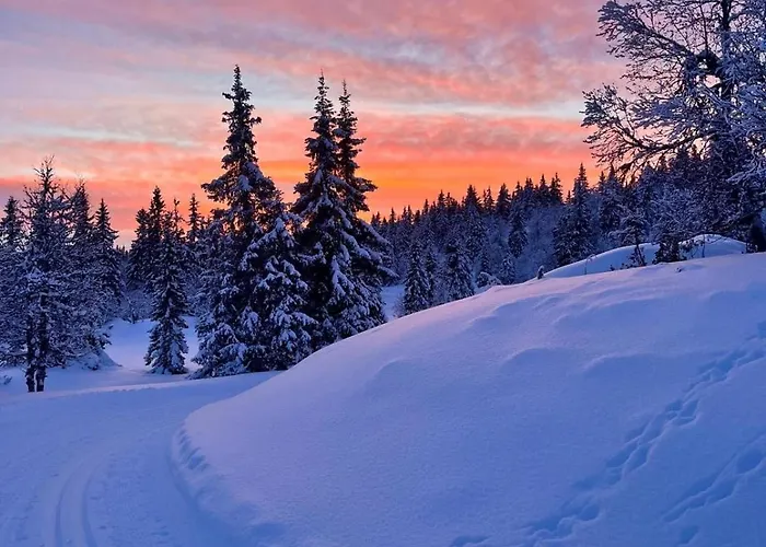 Cozy Apartment, Ski-in Ski-out At Kvitfjell