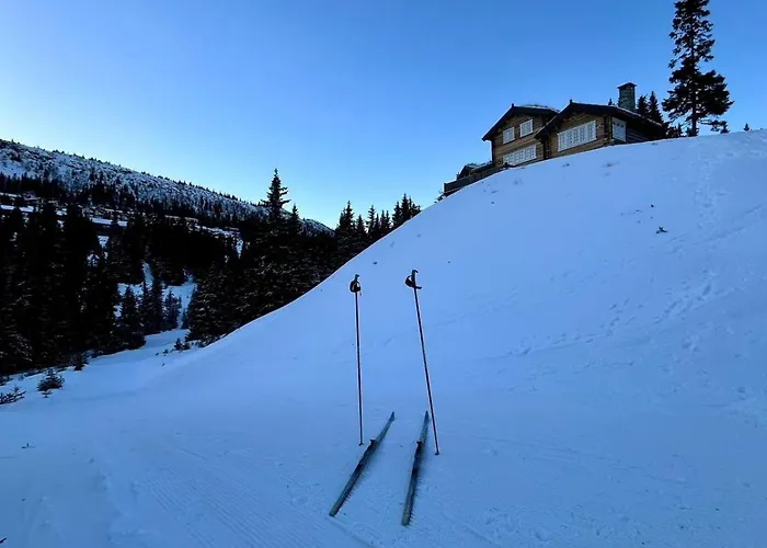 Cozy Apartment, Ski-in Ski-out At דירה *